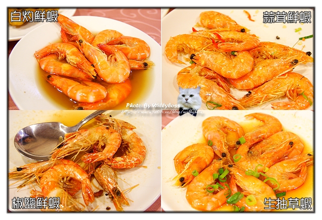 一夕成名－新紅寶石酒樓吃到飽(台北中山區)