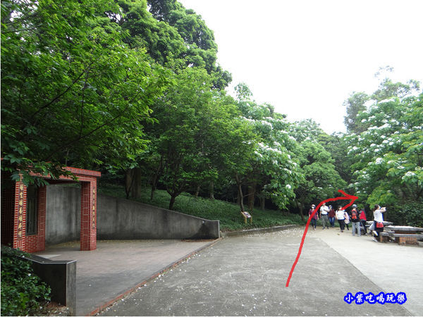 新竹-金獅步道8.jpg