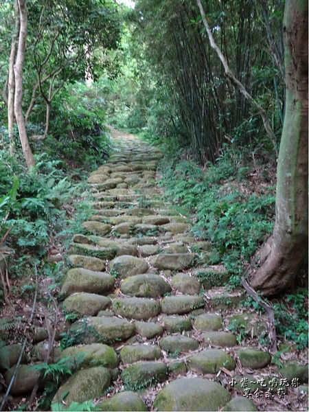 金獅寺百年石階古道.jpg