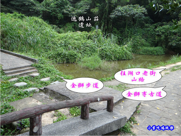 新竹-金獅步道24.jpg