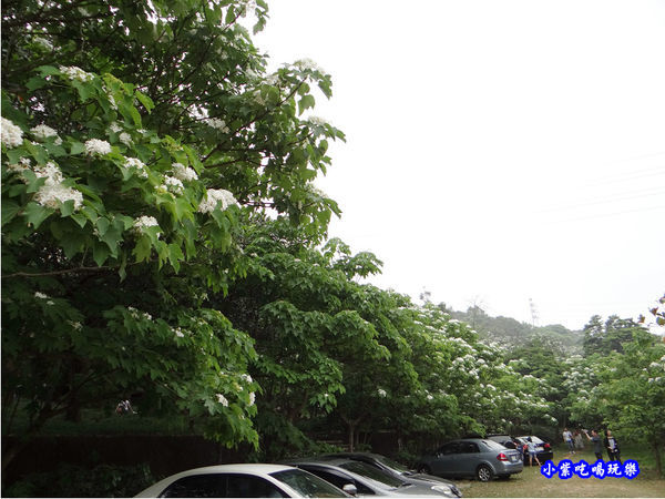 新竹-金獅步道2.jpg
