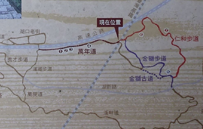 仁和、金獅、萬年步道交會口 (4).JPG
