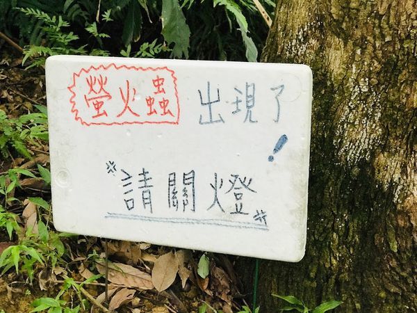 IMG_4098.jpg IMG_4098.jpg