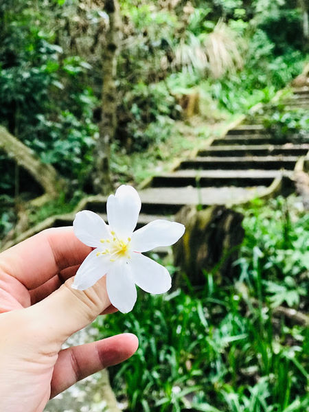 IMG_4054.jpg IMG_4054.jpg