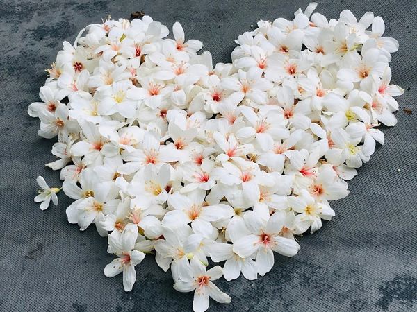 IMG_3982.jpg IMG_3982.jpg