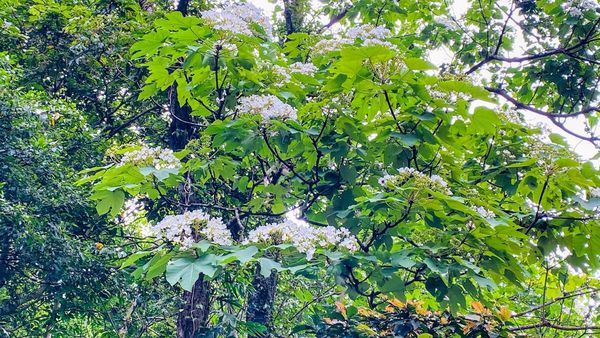 IMG_0346.jpg IMG_0346.jpg