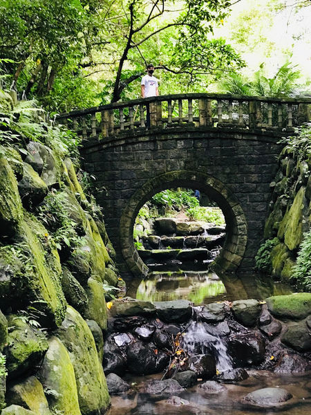 IMG_3933.jpg IMG_3933.jpg