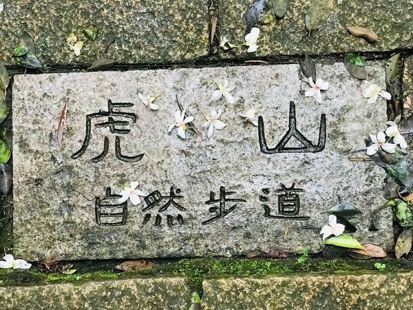 IMG_4053.jpg IMG_4053.jpg