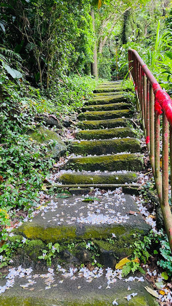 IMG_0345.jpg IMG_0345.jpg