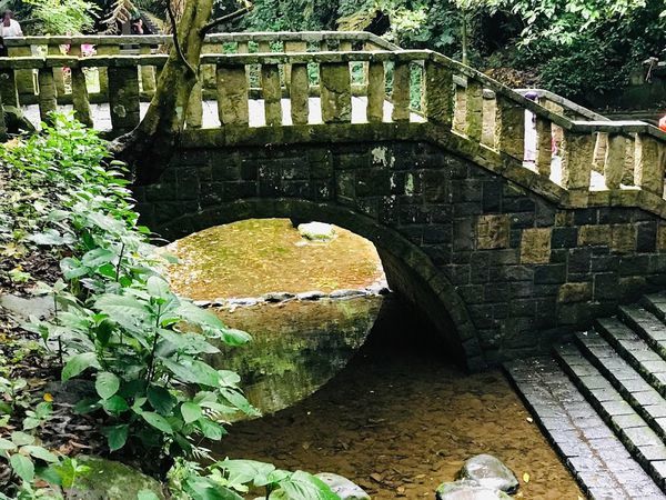 IMG_3951.jpg IMG_3951.jpg