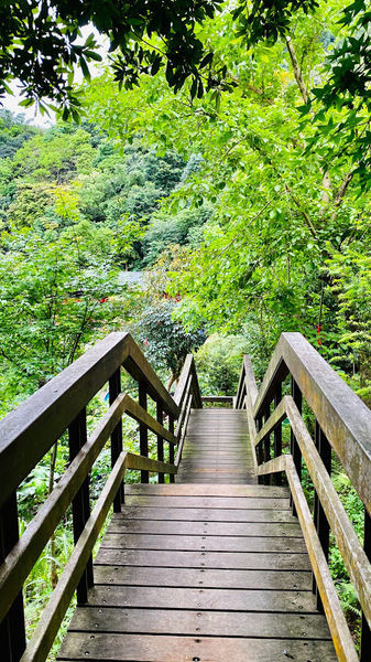 IMG_0444.jpg IMG_0444.jpg