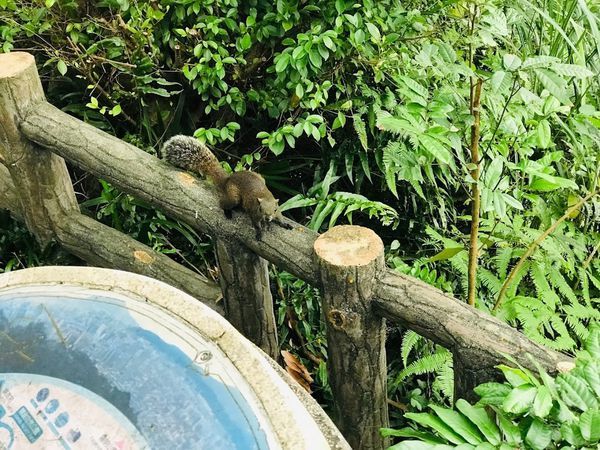 IMG_4030.jpg IMG_4030.jpg