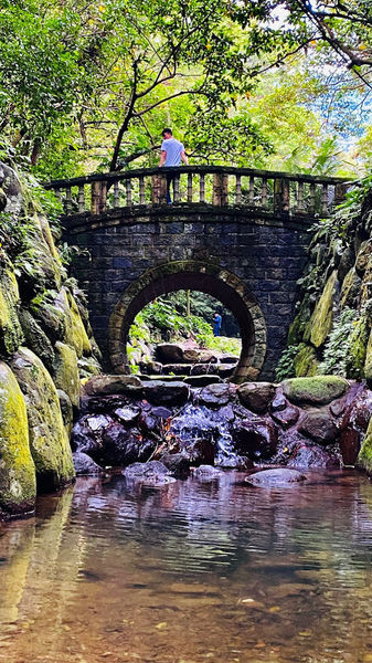 IMG_0289.jpg IMG_0289.jpg