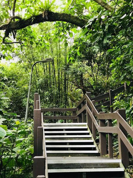 IMG_3970.jpg IMG_3970.jpg