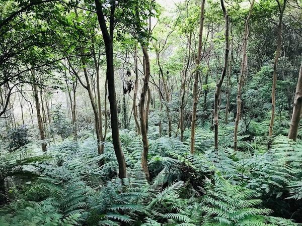 IMG_4097.jpg IMG_4097.jpg