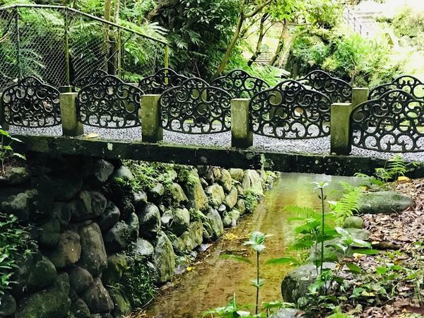 IMG_3953.jpg IMG_3953.jpg