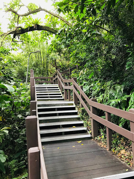 IMG_3969.jpg IMG_3969.jpg