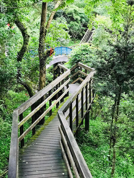 IMG_4089.jpg IMG_4089.jpg