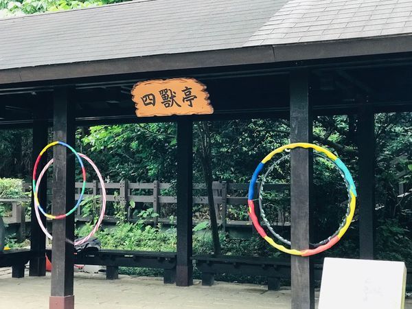 IMG_3972.jpg IMG_3972.jpg