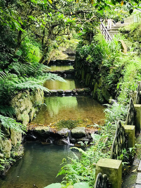 IMG_3955.jpg IMG_3955.jpg