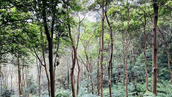 IMG_0453.jpg IMG_0453.jpg