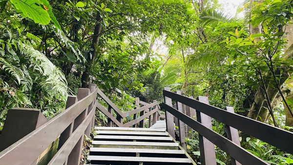 IMG_0308.jpg IMG_0308.jpg