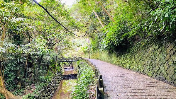 IMG_0295.jpg IMG_0295.jpg