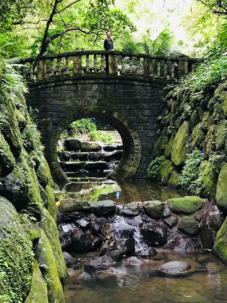 IMG_3945.jpg IMG_3945.jpg