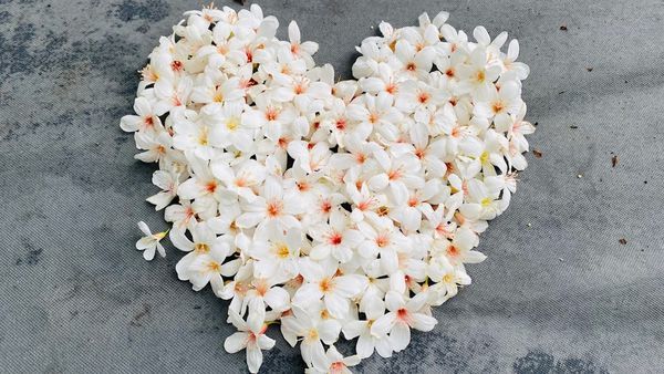 IMG_0335.jpg IMG_0335.jpg