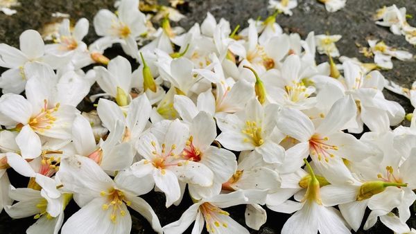 IMG_0349.jpg IMG_0349.jpg