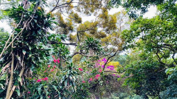 IMG_0328.jpg IMG_0328.jpg