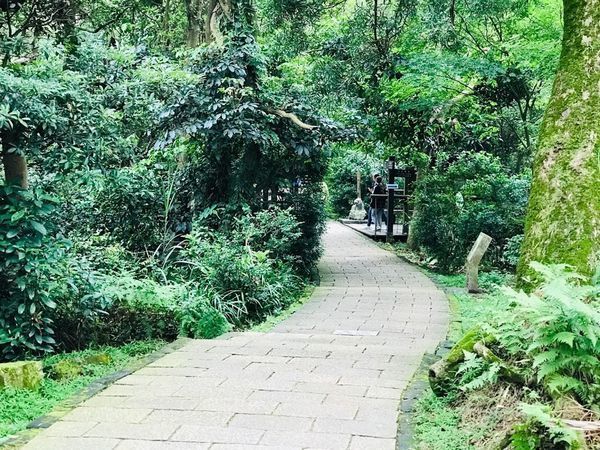 IMG_4115.jpg IMG_4115.jpg