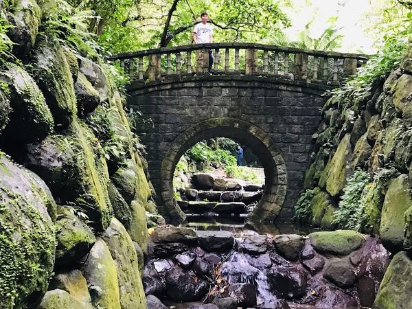 IMG_3938.jpg IMG_3938.jpg