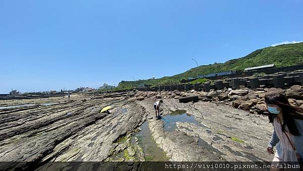 馬岡潮間帶_210528_15.jpg