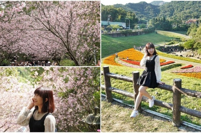 [新莊 兩餐韓國年糕火鍋吃到飽] 299元就可以吃到道地韓式風味鍋物 韓式泡麵、炸雞、魚板、年糕無限量供應 - 安妮的天空