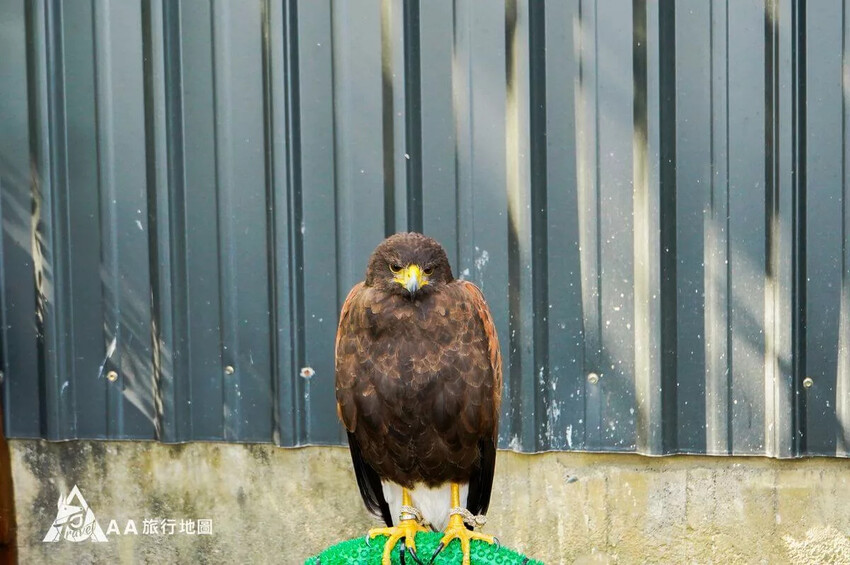 台灣小琉球住宿推薦|5個選擇源和居旅宿的理由