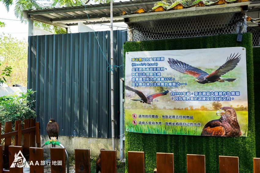 台灣小琉球住宿推薦|5個選擇源和居旅宿的理由