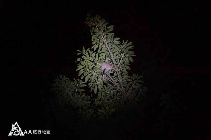 台灣小琉球住宿推薦|5個選擇源和居旅宿的理由