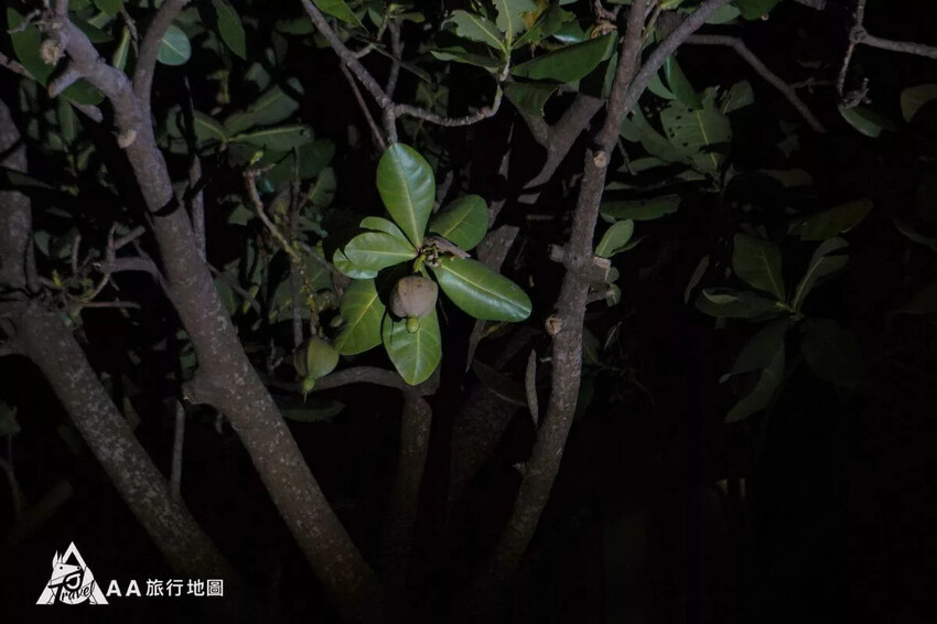 台灣小琉球住宿推薦|5個選擇源和居旅宿的理由