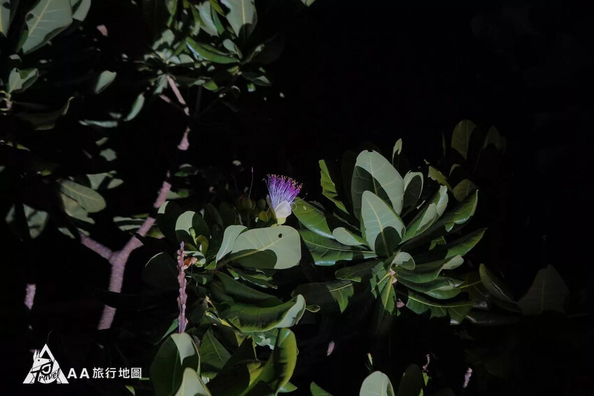 台灣小琉球住宿推薦|5個選擇源和居旅宿的理由