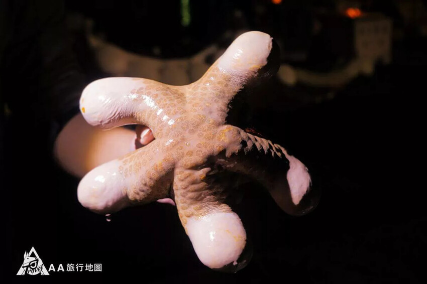 台灣小琉球住宿推薦|5個選擇源和居旅宿的理由