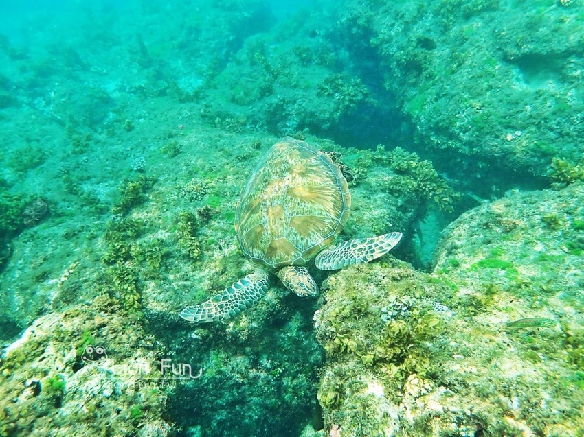 IMG_5049.JPG IMG_5049.JPG