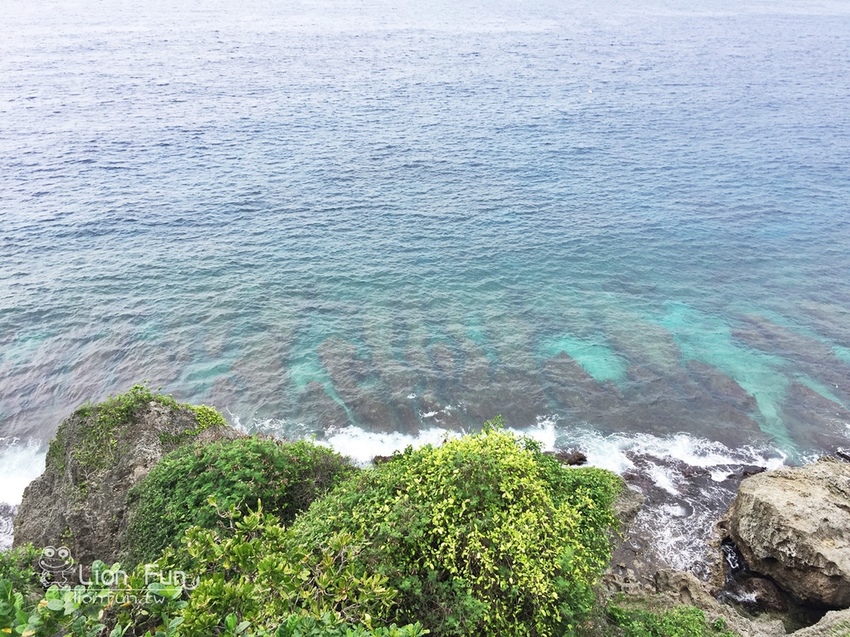 IMG_9792.JPG IMG_9792.JPG