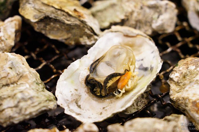 宜蘭縣宜蘭市愛知味自助式吃到飽燒烤店》火烤生蠔牡犡吃到飽，熟食自助吧，海鮮燒肉火鍋無限吃到飽