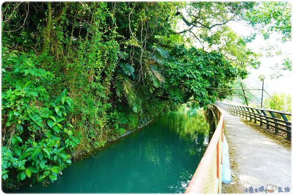 DSC00157.jpg DSC00157.jpg