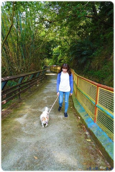 DSC00147.jpg DSC00147.jpg