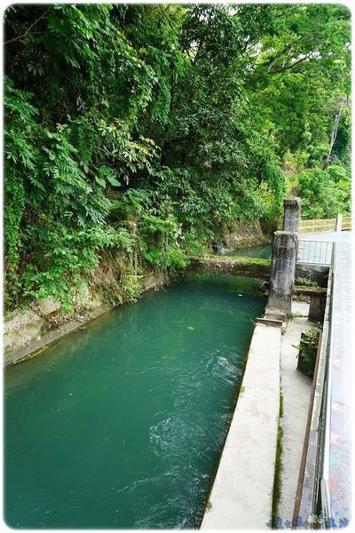 DSC00132.jpg DSC00132.jpg