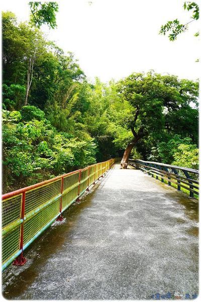 DSC00141.jpg DSC00141.jpg