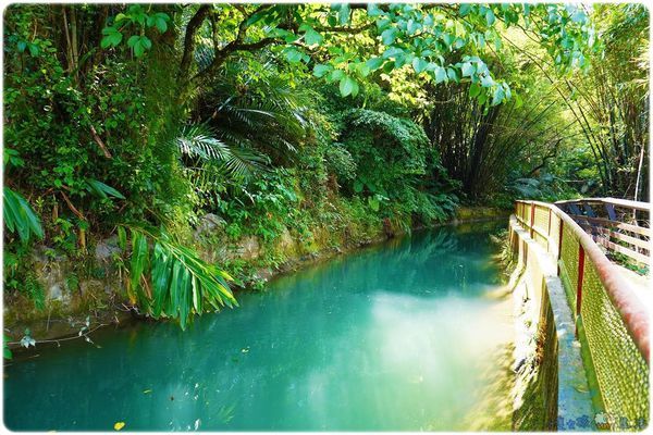 DSC00176.jpg DSC00176.jpg