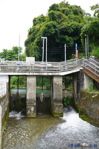 DSC00118.jpg DSC00118.jpg